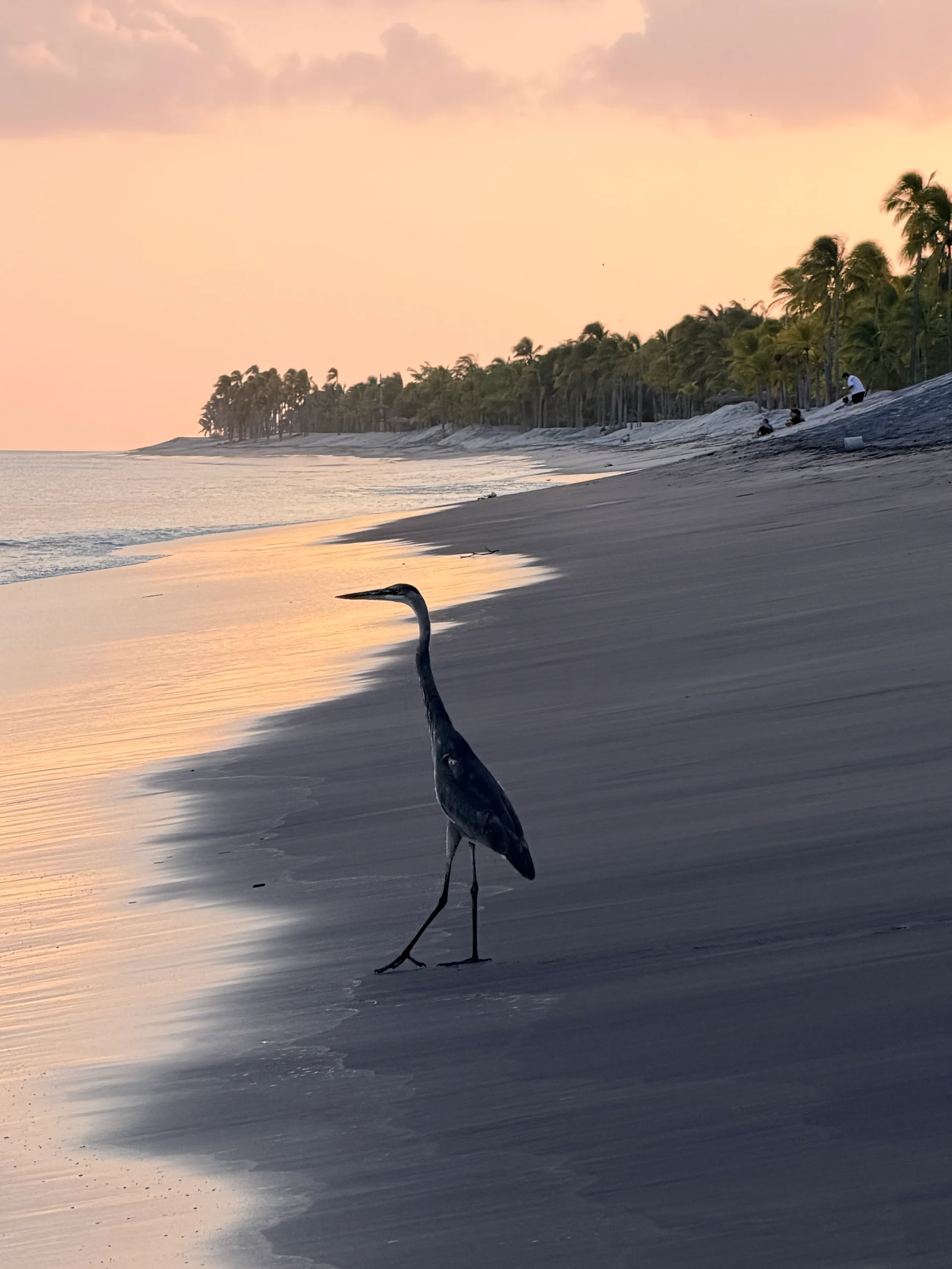 Coucher de soleil caribéen