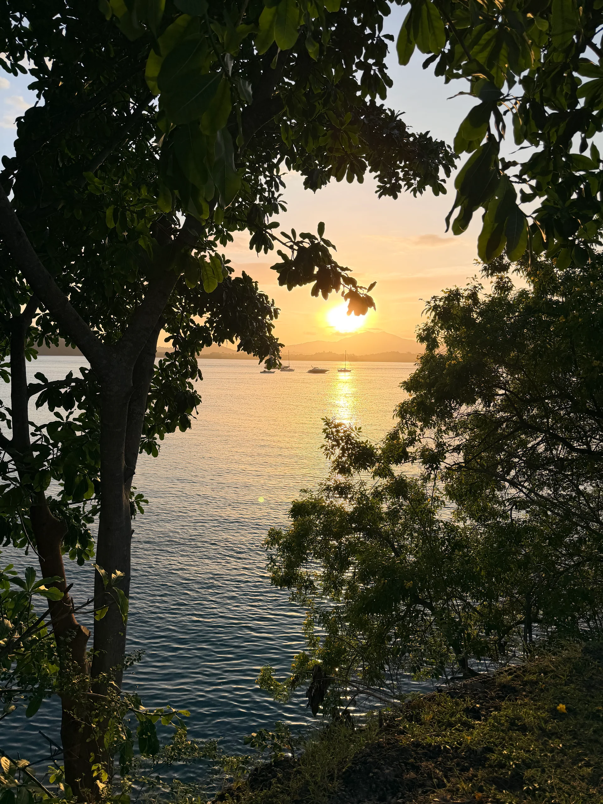 Vista Lago