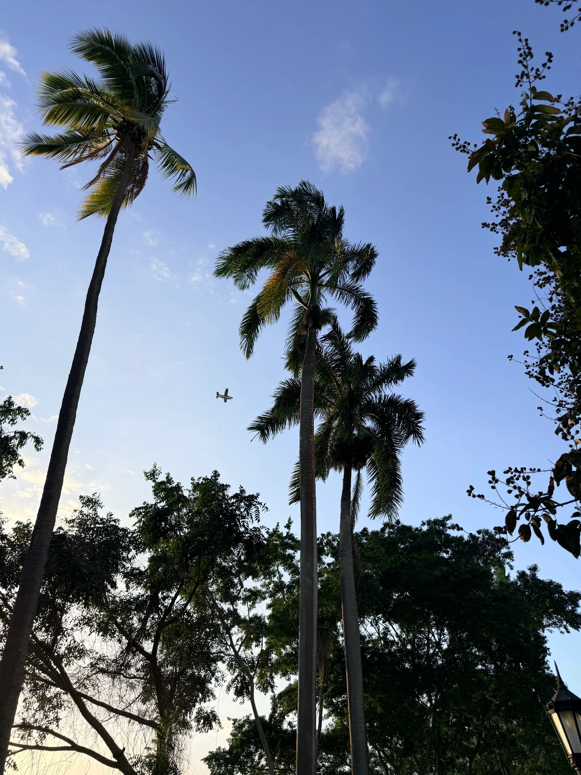 Portobelo Colonial Forts