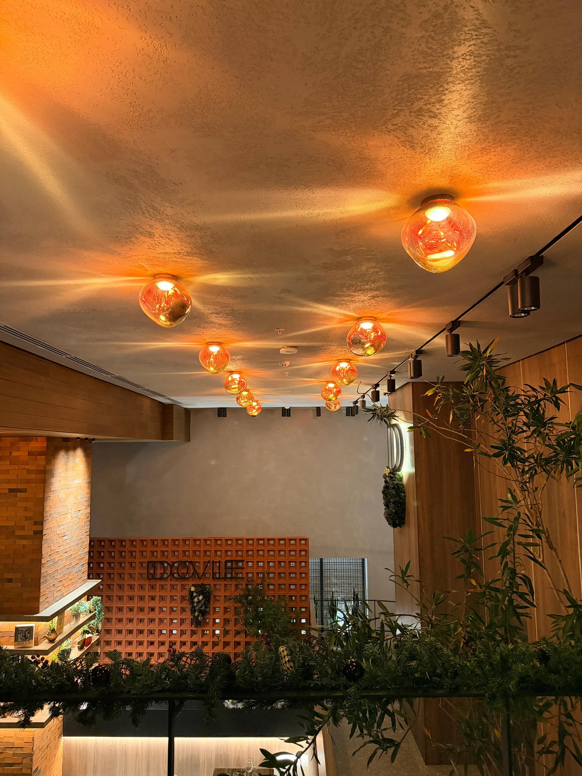 Interior view of a modern restaurant showcasing unique orange globe lighting fixtures and a textured wall with 'DOVLE' signage. Green plants add a touch of vibrancy to the space.