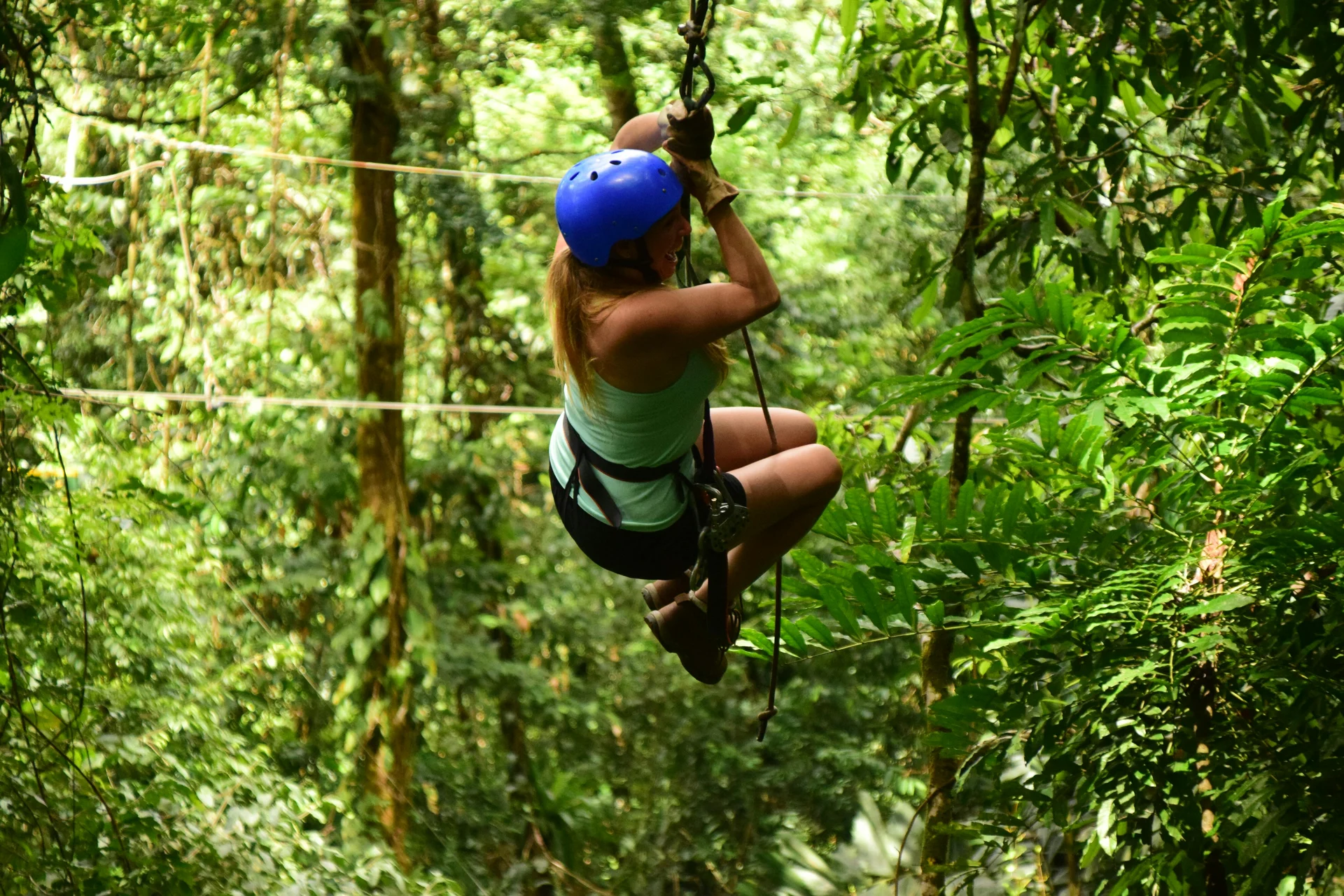 Zipline & Canopy Tour