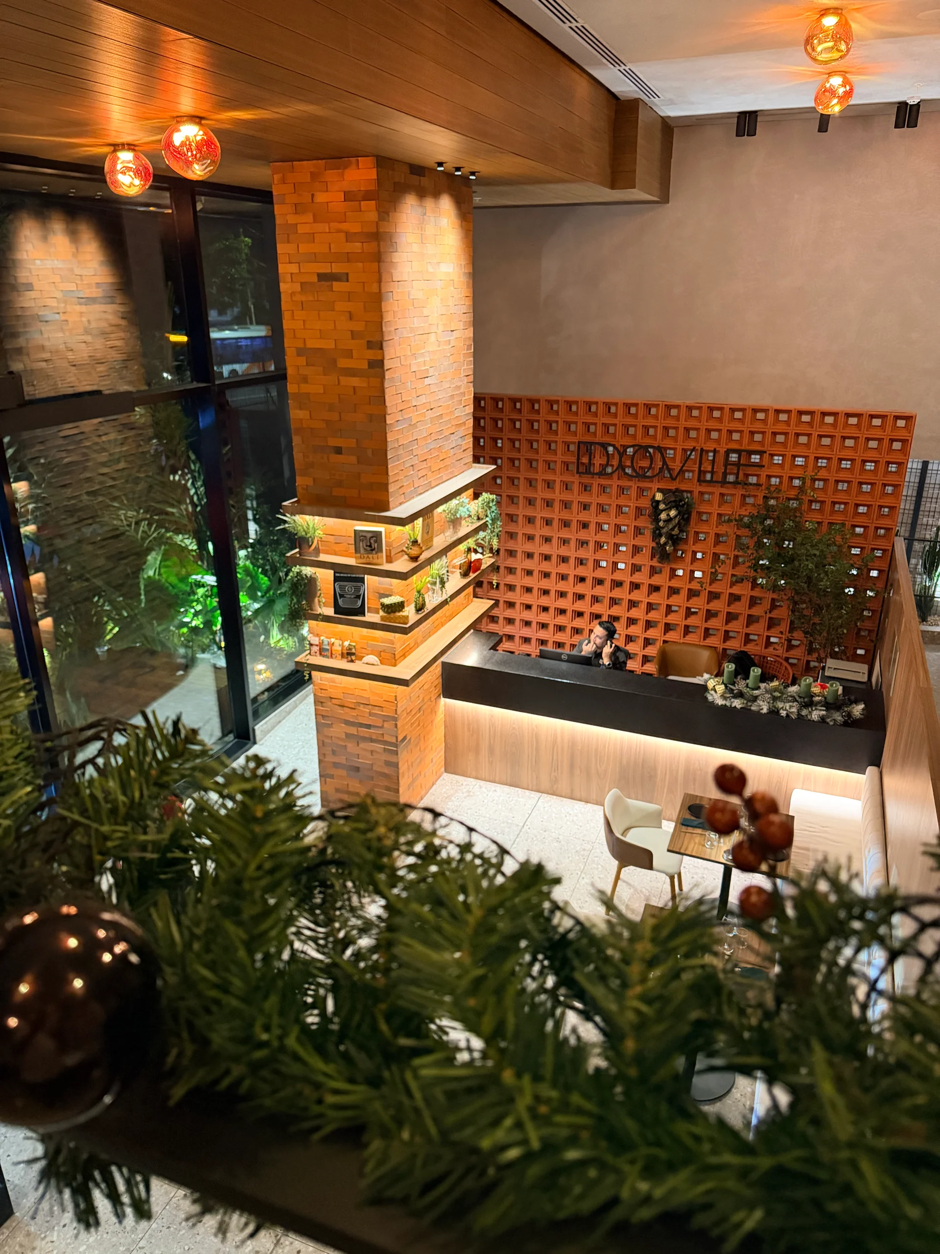Elegant reception area at Dovle Cincuentenario, showcasing modern design with warm lighting and a textured wood accent wall. Decorated with festive greenery, the space exudes a welcoming and luxurious atmosphere.