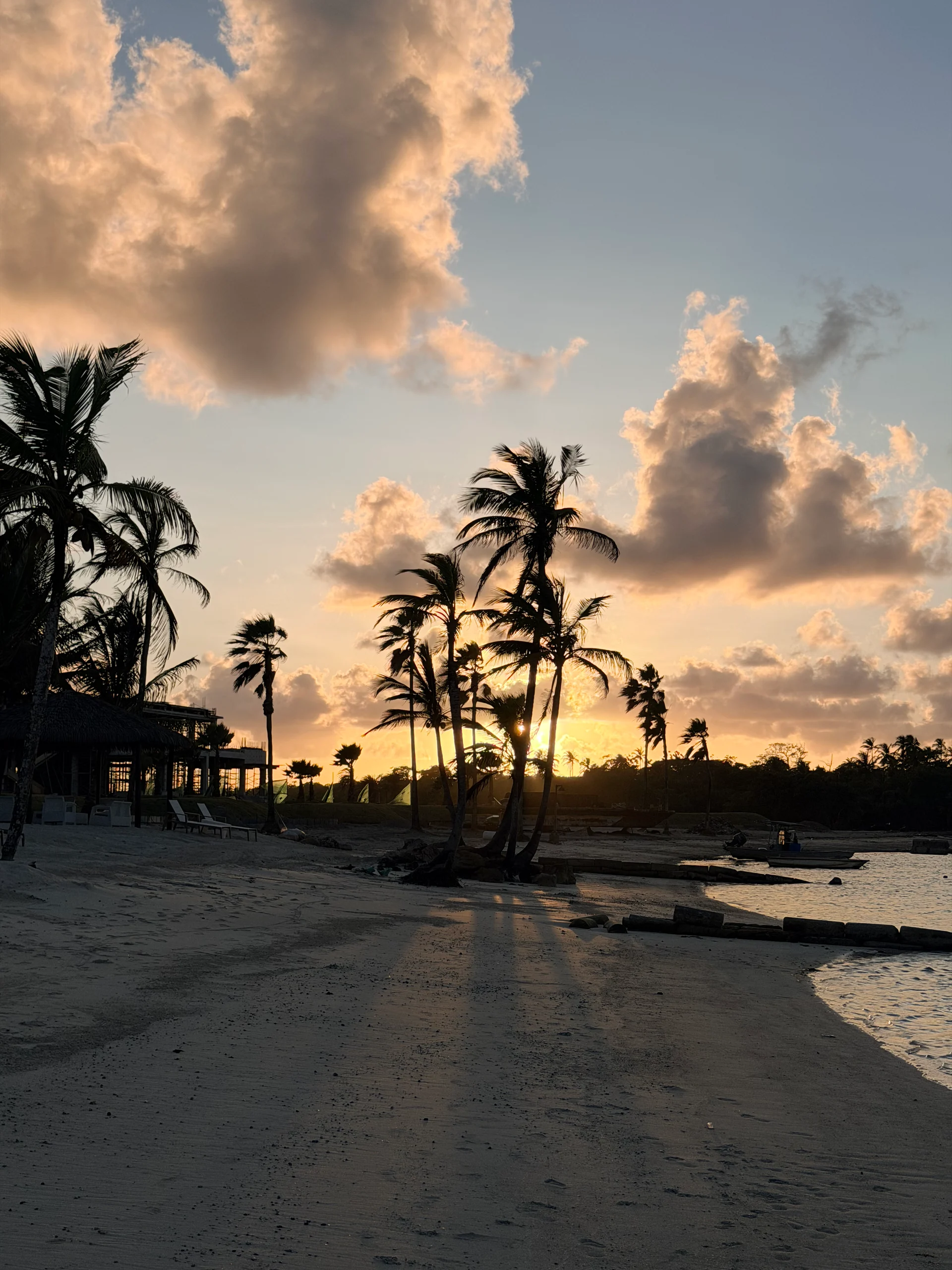 Une vue imprenable sur le coucher de soleil au-dessus d'une plage tropicale, avec des palmiers se profilant contre un ciel vibrant. La lumière dorée de l'heure dorée illumine le sable et crée une scène sereine et pittoresque, mettant en valeur la beauté de Playa Escondida au Panama.