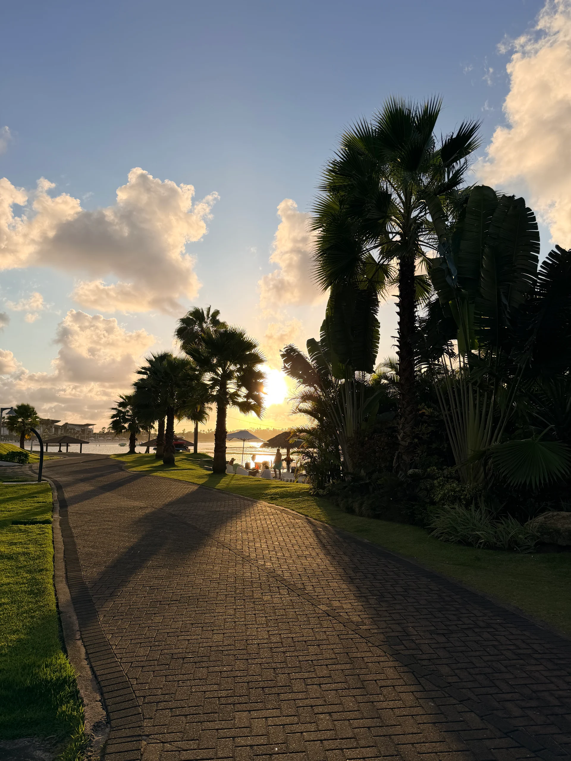 Un chemin paisible mène à travers un paysage tropical luxuriant vers un coucher de soleil éclatant sur la mer des Caraïbes. Des palmiers bordent le sentier, projetant de longues ombres sur le sol en briques, créant une atmosphère sereine et accueillante.