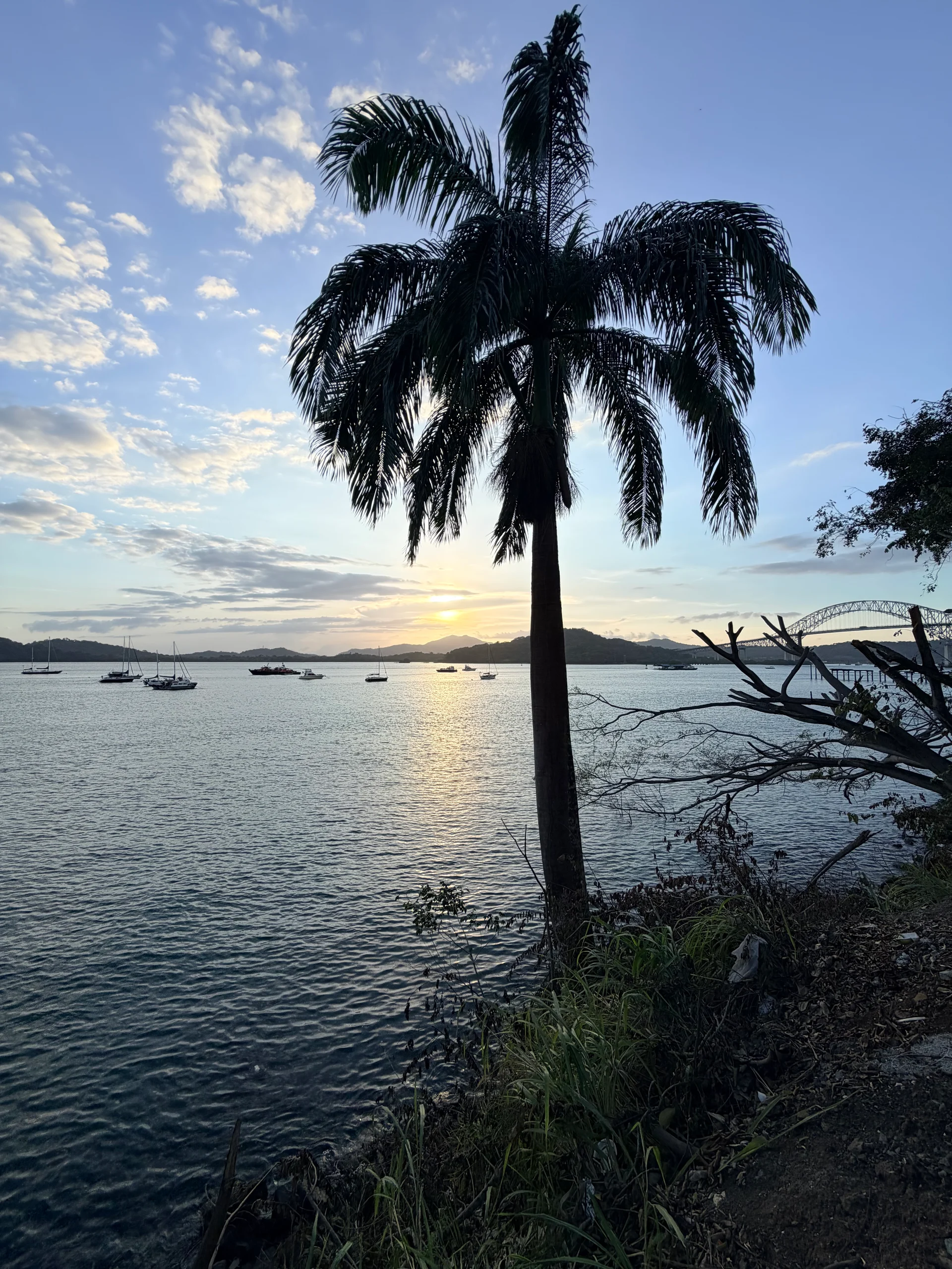 Panamá Viejo