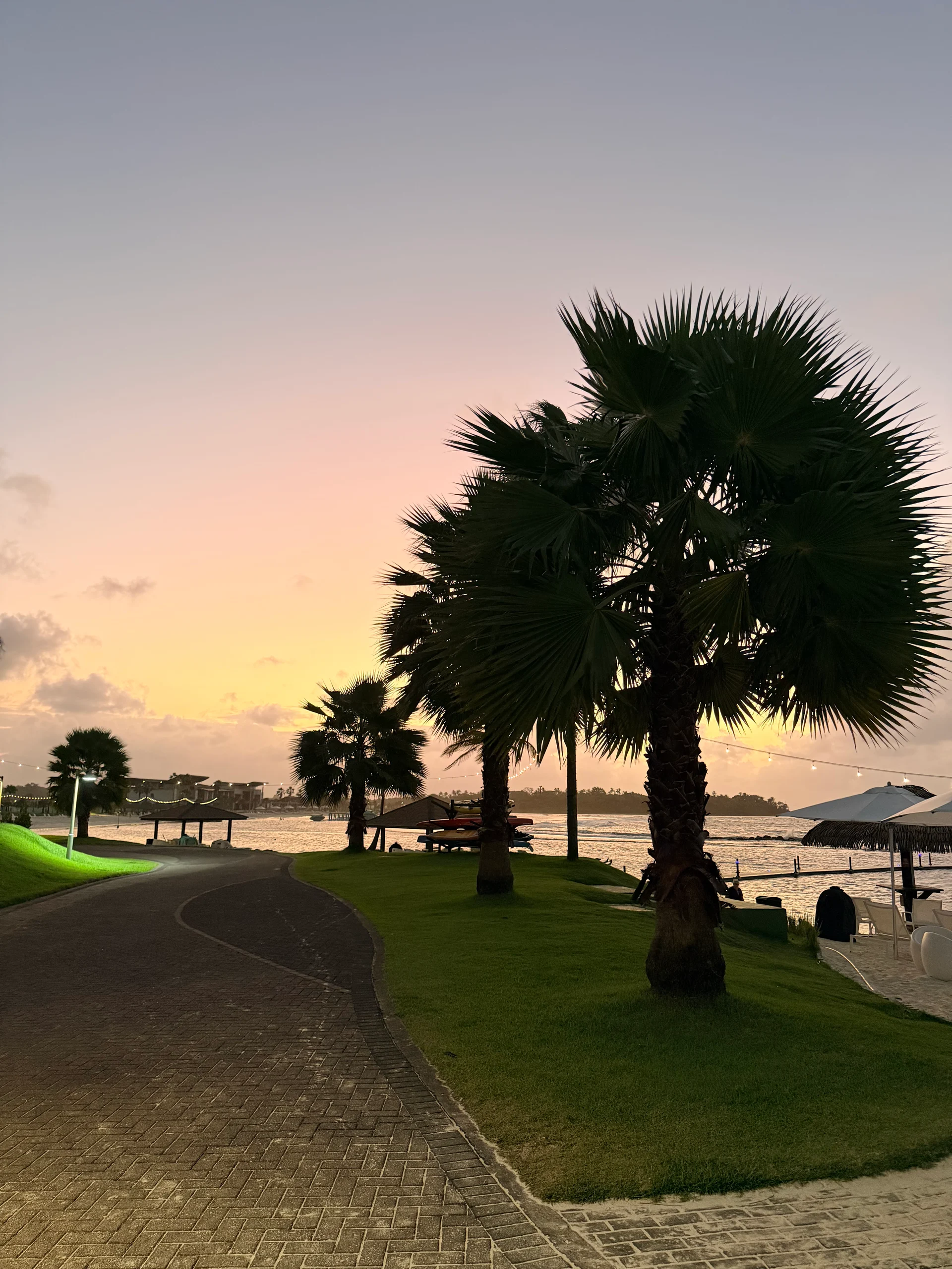 Vue sereine du crépuscule de palmiers bordant un chemin pavé à Playa Escondida, Panama. L'océan calme reflète les teintes pastel du coucher de soleil, créant une atmosphère paisible et accueillante.